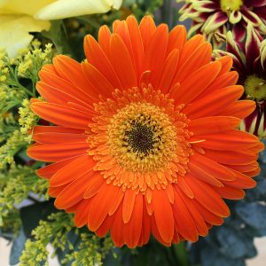 Content Creation for Social Media Campaigns